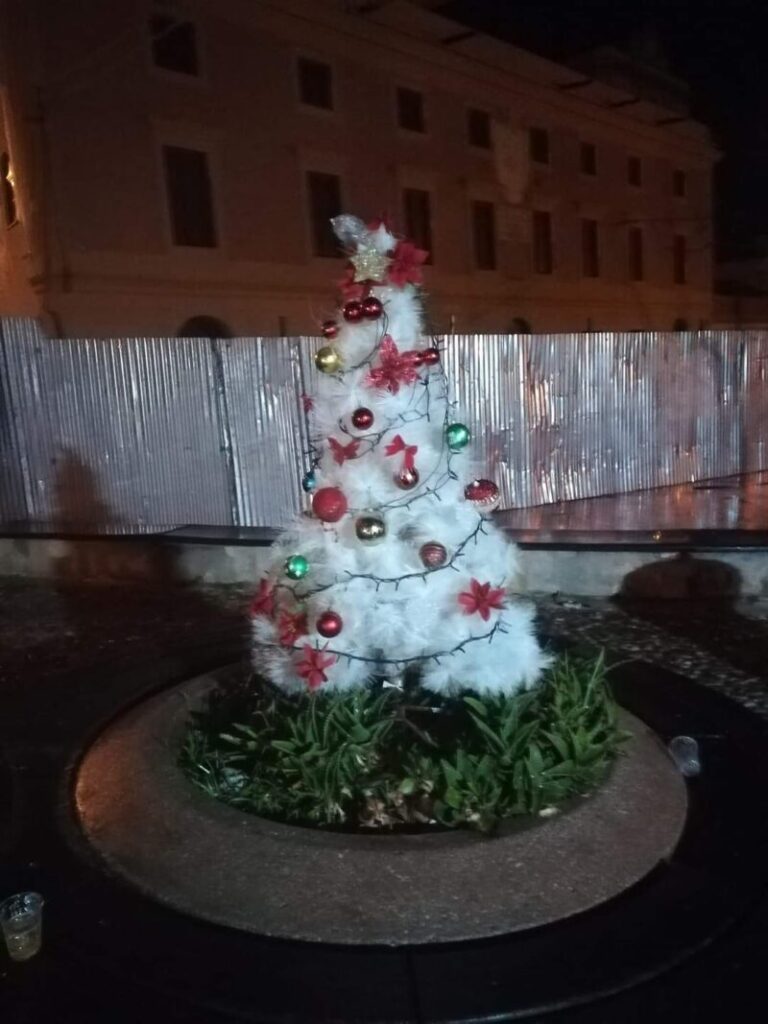 Termini Imerese: un albero di Natale in piazza Bagni, la donazione di generosi cittadini