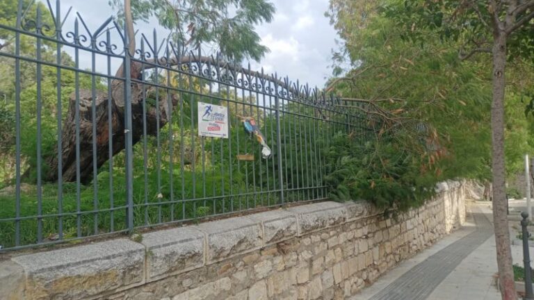 Forte vento a Termini Imerese: albero si abbatte alla villa Aguglia, temporali in arrivo LE PREVISIONI METEO