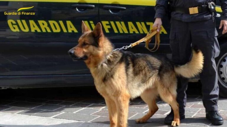 Operazione “Sugar” della Guardia di Finanza di Palermo: 21 misure cautelari e sequestri per 220mila euro