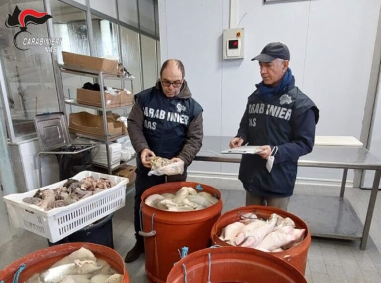 Sequestrata oltre una tonnellata di carne a Palermo