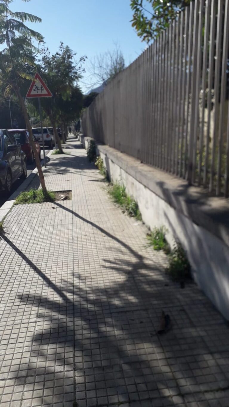 Termini Imerese, feci di cani in via Guglielmo Marconi: la protesta di chi si reca a scuola FOTO