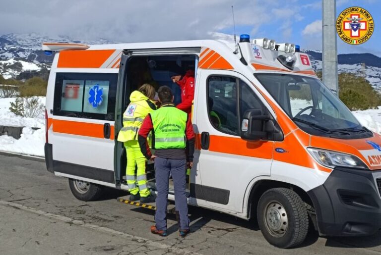 Anziana aggredita da cane randagio: le ha morso la mano destra