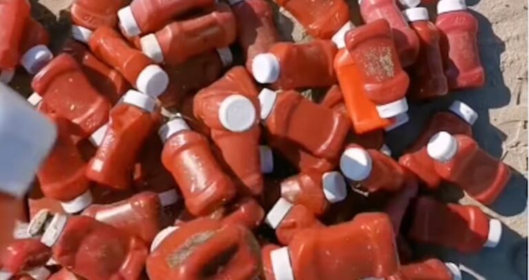 Mistero nel mare del Salento: centinaia di bottiglie di ketchup e maionese giunte sulla costa