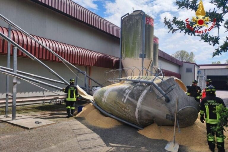 Fratelli di 10, 14 e 18 anni schiacciati da un silos: la sorella maggiore alla guida con il foglio rosa