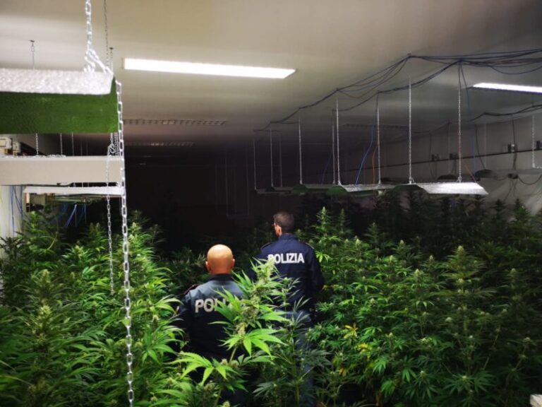 Palermo: la Polizia scova due piantagioni indoor di marijuana: un arresto e un indagato