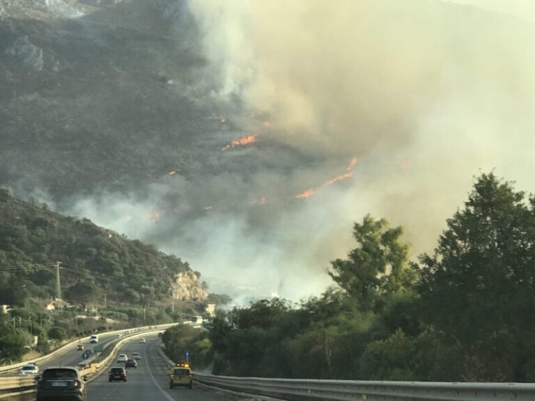 La Sicilia è in fiamme: vasti incendi in provincia di Palermo, forte vento di scirocco e temperature fino a 50°