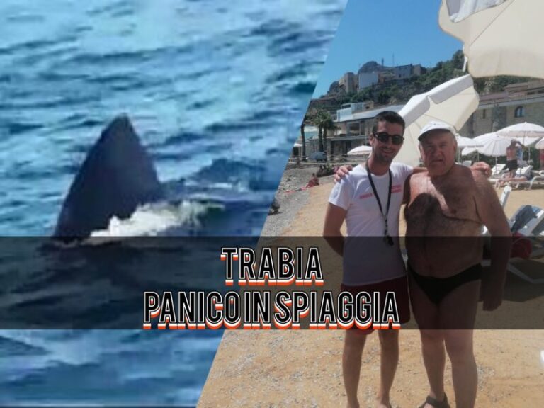 Panico in spiaggia a Trabia: bagnini salvano turista straniero da uno squalo verdesca LE FOTO