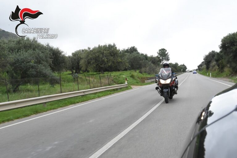 I carabinieri scoprono a Collesano una piantagione di marijuana