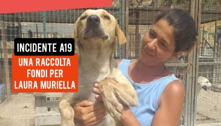 Una raccolta fondi per sostenere Laura Muriella: un cane è morto nell’incidente, lei ferita, distrutto il Fiorino