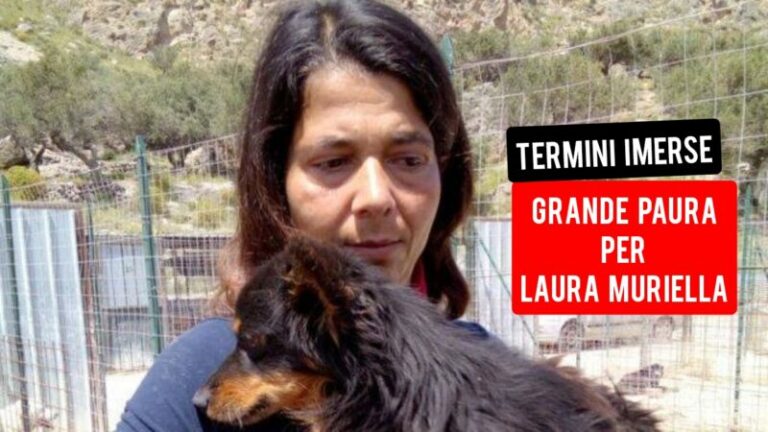 Incidente sulla A19 tra Trabia e Termini Imerese: un cane è morto, ferita l’animalista Laura Muriella