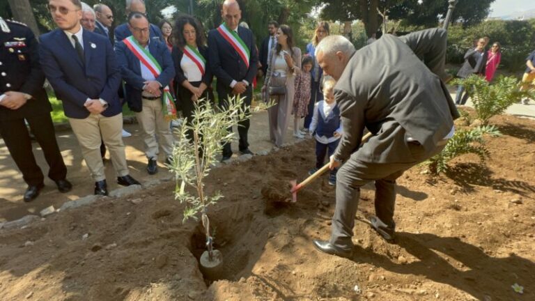 Un alberello d’ulivo in ricordo del sindacalista caccamese Mico Geraci: “Adesso via a un progetto per le scuole”