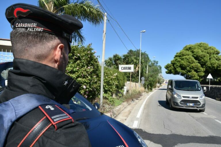 Scoperta piantagione indoor di cannabis in provincia di Palermo: marito arrestato, moglie denunciata