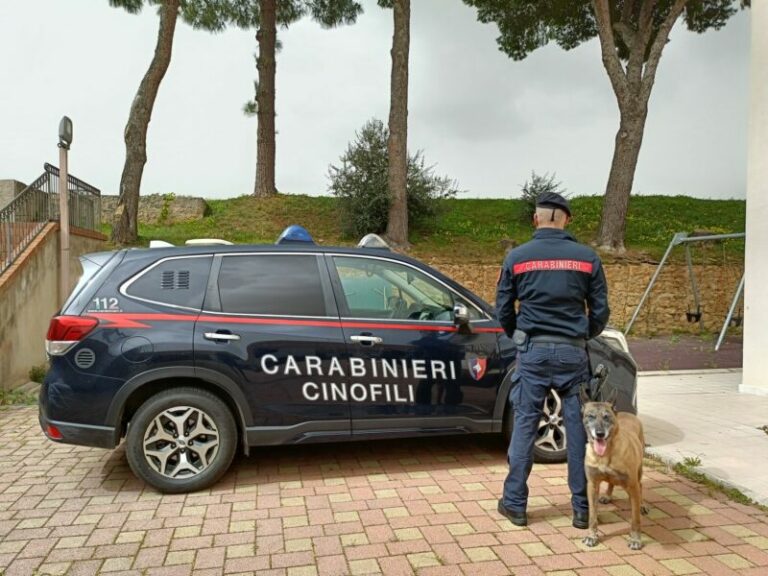 I carabinieri chiudono canile abusivo in provincia di Palermo