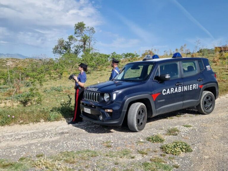 Incendio boschivo in provincia di Palermo: arrestato un pastore di 24 anni