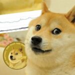 Addio Kabosu: la cagnolina Shiba Inu che con la sua espressione ha ispirato meme e criptovalute