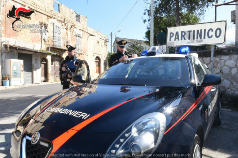 Piantagione di “erba” in provincia di Palermo: un arresto dei carabinieri