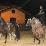 L’artista montemaggiorese Francesco Di Martino vola alla 126° edizione della fiera cavalli a Verona