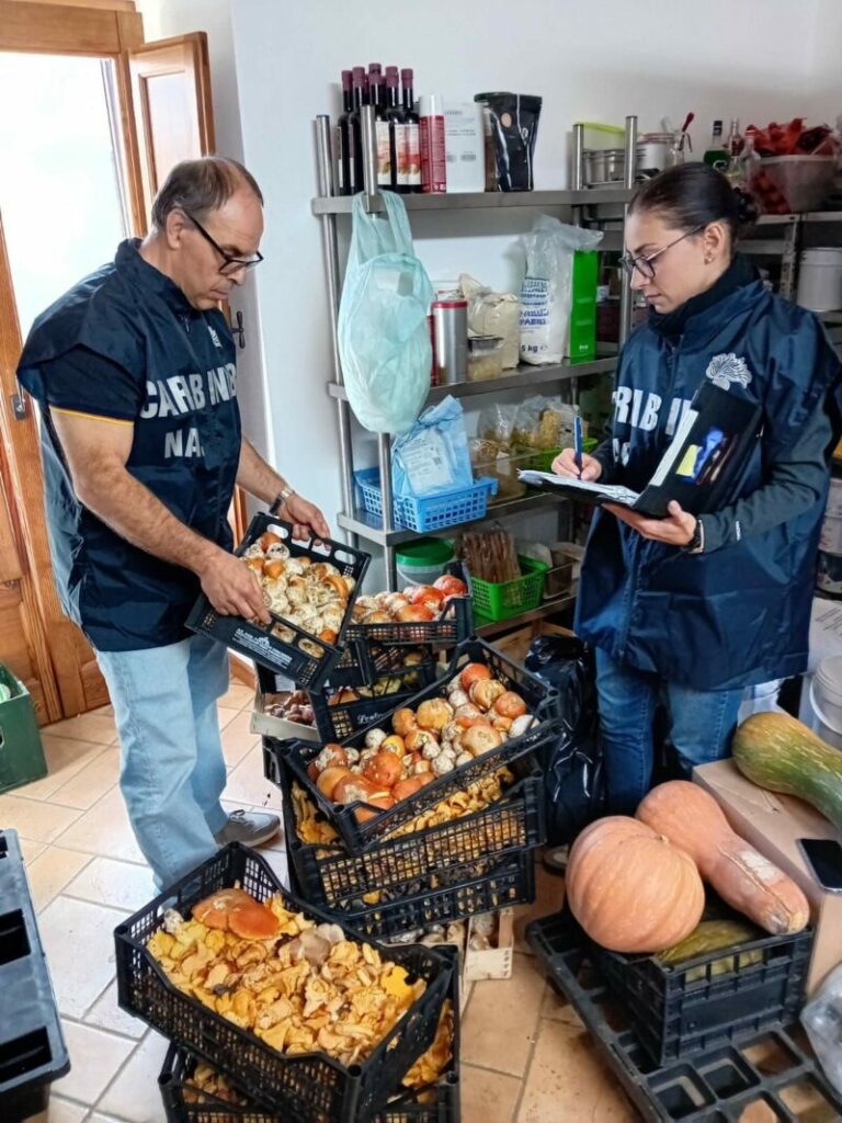 Controlli NAS a Palermo e provincia: sequestri e sanzioni