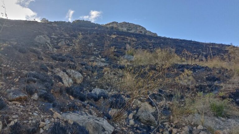 Il monte San Calogero brucia, il comitato: “Servono reali compensazioni ambientali di Terna”