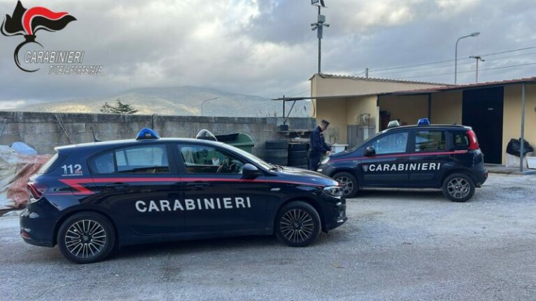 Carabinieri del centro anticrimine natura di Palermo: eseguito sequestro preventivo nei confronti di 16 soggetti VIDEO