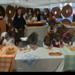 Successo per la III edizione del “Presepe vivente dei bambini” del plesso San Francesco di Paola dell’IC Balsamo Pandolfini